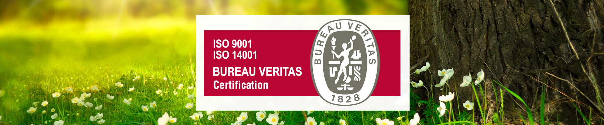 certificación ISO14.001:2015 pararrayos