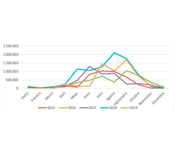 rayos durante el 2019 por meses